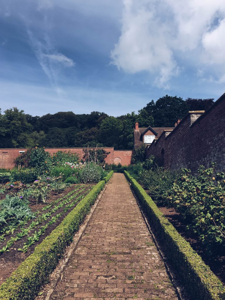 Blue sky above the walled garden at The Ethicurean, Bristol