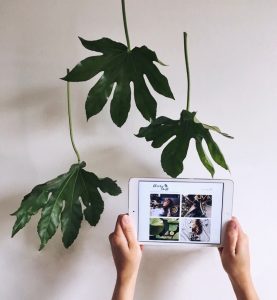 Holding iPad with hanging leaves | charlieswft.com