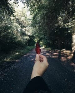 Holding red autumn leaf in the woods