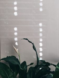 Taking Stock December