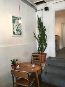 Cafe interior with wooden furniture and big cactus plant