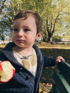 portrait of a 10 month old baby eating an apple on a park bench